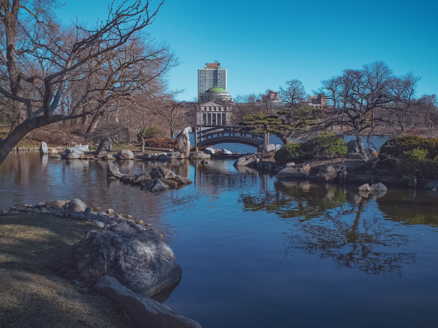 The Osaka Garden in Jackson Park, with the Museum of Science and Industry behind it